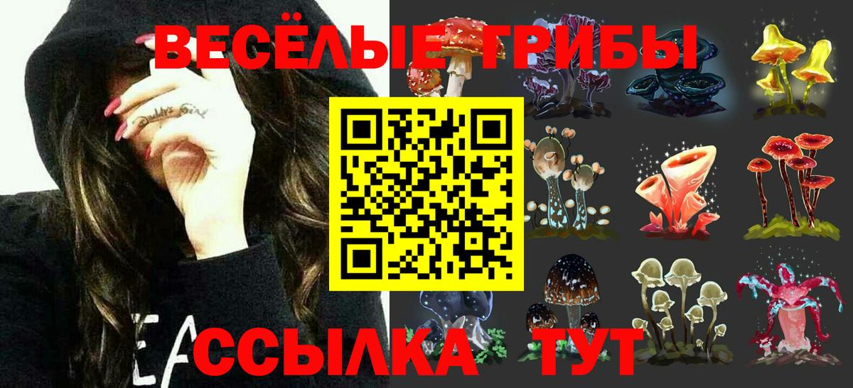 Галлюциногенные грибы мицелий  Вход с VPN  Кудрово 