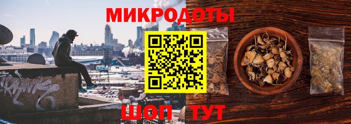 Псилоцибиновые грибы прущие грибы Кудрово