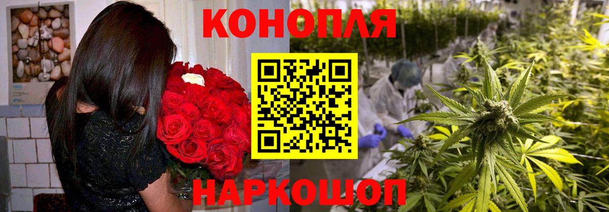 Шишки марихуана AK-47  Каннабис семена  Кудрово  Вход с VPN  Марихуана семена  МАРИХУАНА сатива 
